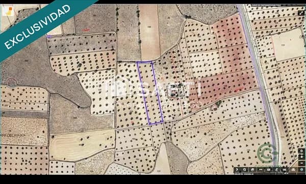 Finca agrícola de 0,48 ha en venta en Campo de criptana, Ciudad real