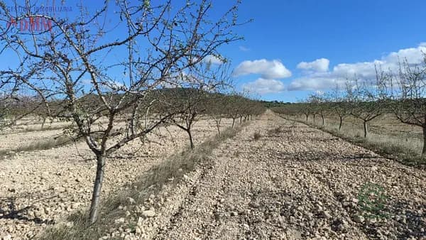 Finca rústica de 300 ha en venta en Albacete, Albacete