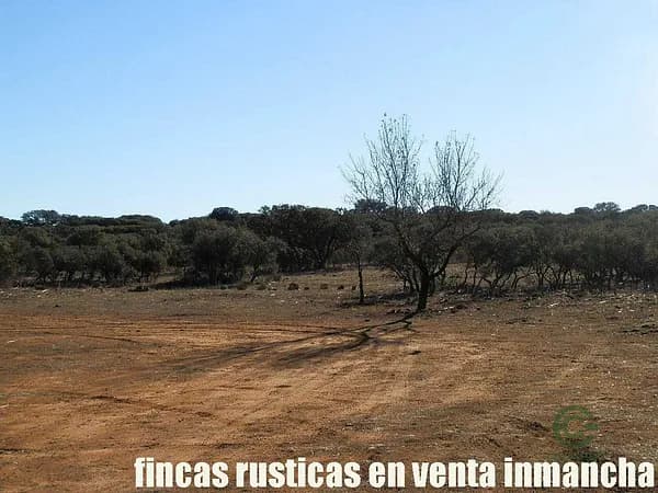 Finca rústica de 106 ha en venta en Toledo