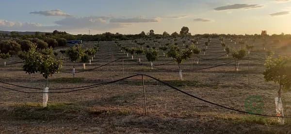 Finca agrícola de 1,4 ha en venta en Lérida