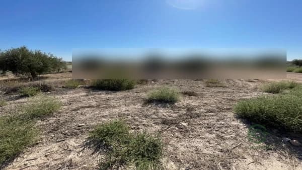 Finca rústica de 3,0768 ha en venta en Mazarron, Murcia