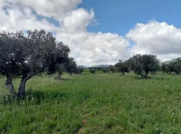 Finca rústica de 2 ha en venta en Ciudad real