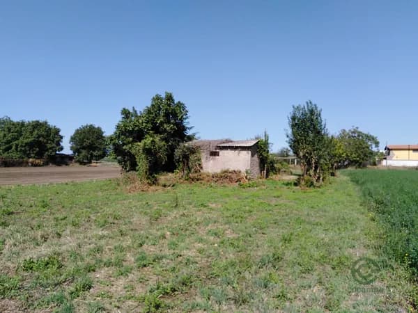 Finca agricola di 0,38 ha per vendita a Lazio