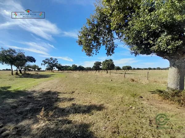 Finca rústica de 167,24 ha en venta en Carrascal del obispo, Salamanca