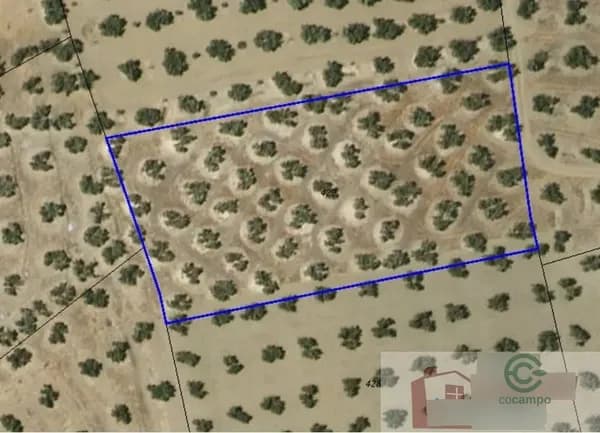 Finca agrícola de 0,56 ha en venta en Torredonjimeno, Jaén