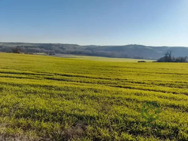 Finca rústica de 31 ha en venta en Toledo