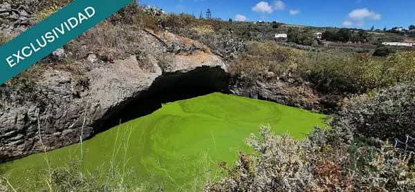 Finca agrícola de 0,7703 ha en venta en Palmas de gran canaria, las, Las palmas