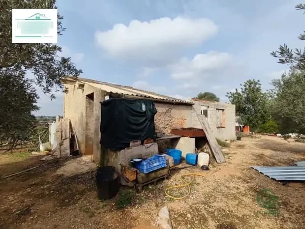Finca agrícola de 1,6 ha en venta en Santa barbara, Tarragona