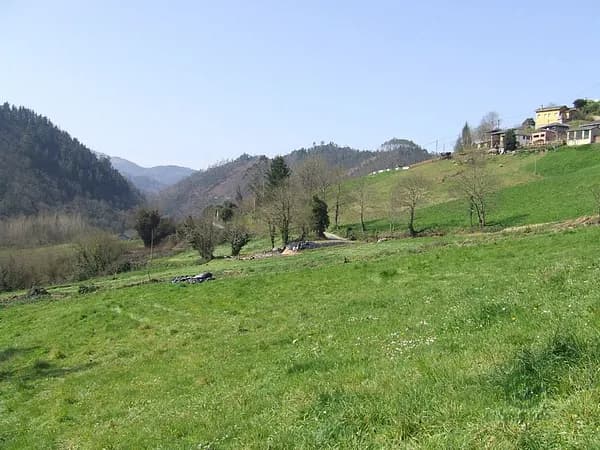 Finca rústica de 0,4 ha en venta en Asturias