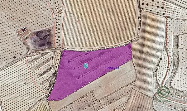 Finca rústica de 1,7208 ha en venta en Pinoso, Alicante