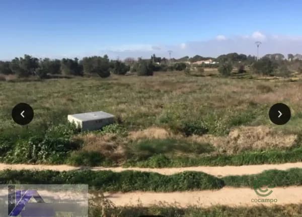 Finca rústica de 0,12 ha en venta en El pinós, Alicante