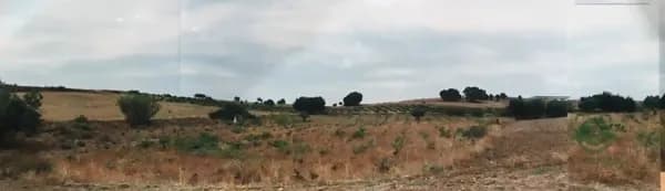 Finca rústica de 0,55 ha en venta en Madrid