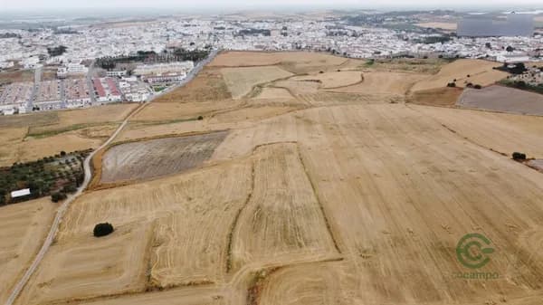Finca agrícola de 0,77 ha en venta en Lebrija, Sevilla