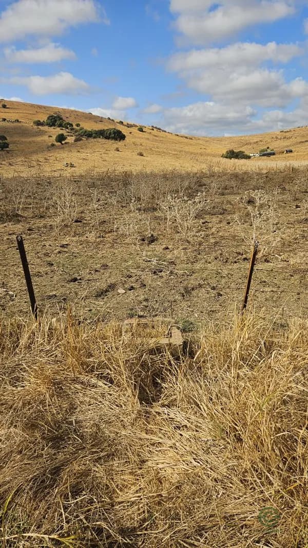 Finca rústica de 12 ha en venta en Cádiz