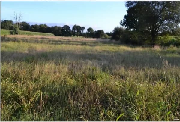 Finca rústica de 4,302 ha en venta en Lugo