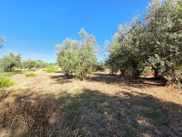 Casa de 0,52 ha en venta en Abrantes, Santarém