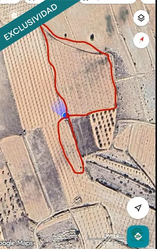 Finca agrícola de 1,0269 ha en venta en Monovar, Alicante