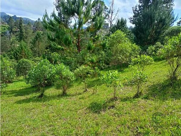 Terreno urbano de 0,5413 ha en venta en Antioquia