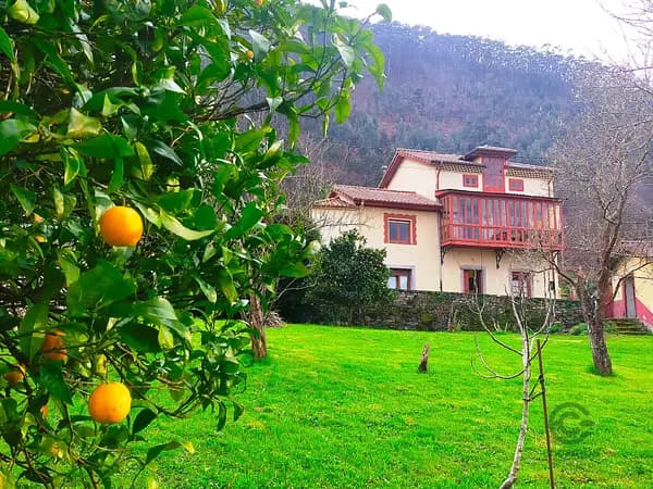 Casa de 0,123 ha en venta en Asturias