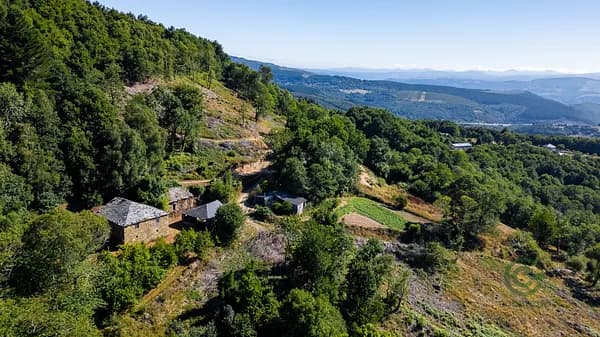 Finca rústica de 0,8165 ha en venta en Becerreá, Lugo