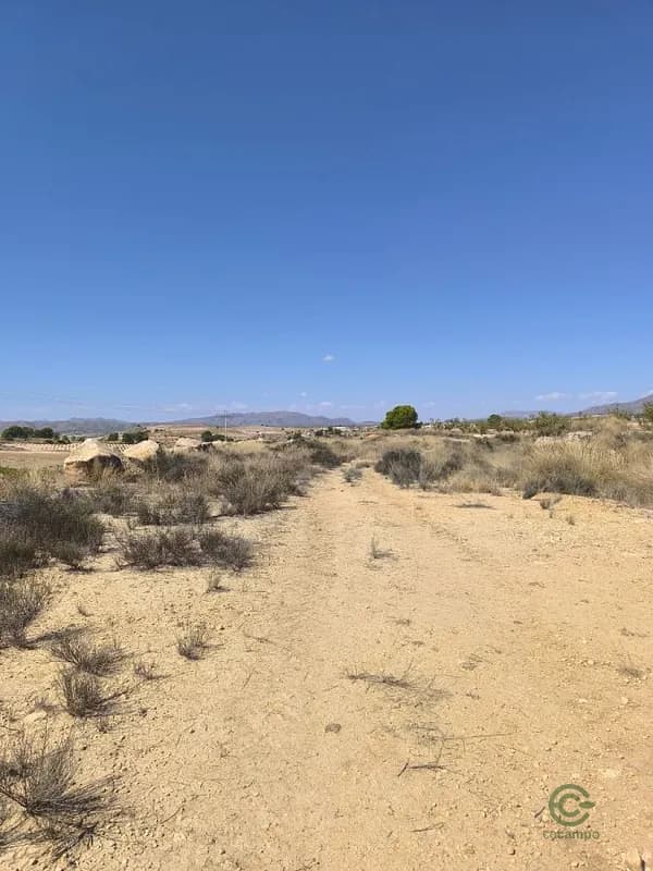 Finca rústica de 0,6805 ha en venta en Jumilla, Murcia