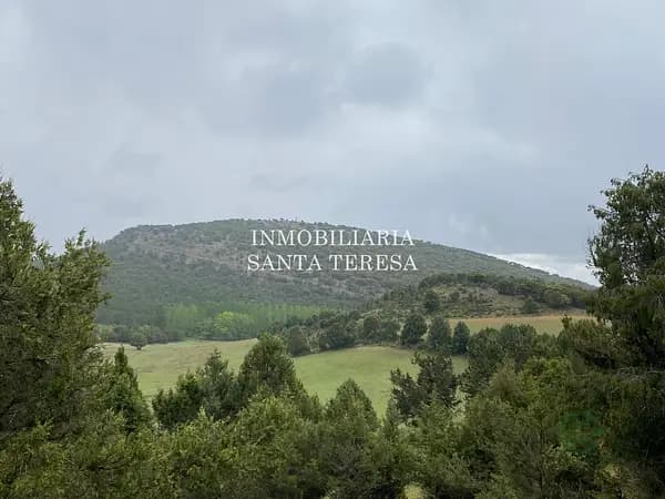 Finca rústica de 885 ha en venta en Burgos