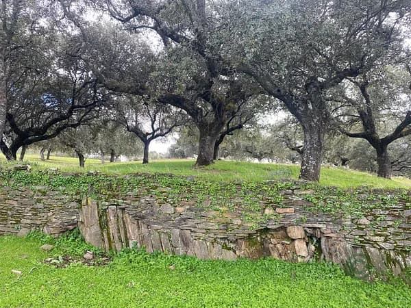 Finca rústica de 69 ha en venta en Toledo