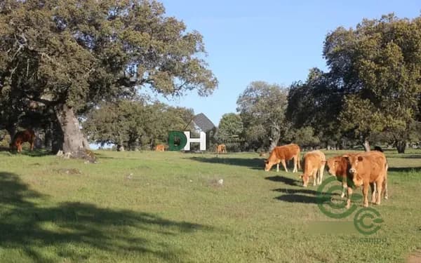 Finca rústica de 500 ha en venta en Cáceres