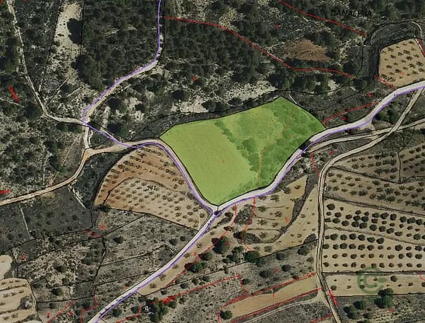 Finca agrícola de 0,8802 ha en venta en Alicante