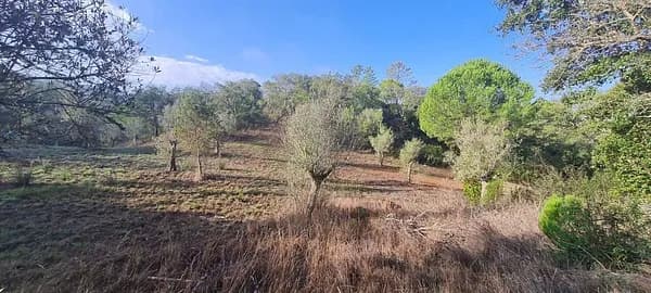 Fazenda rustica de 1,41 ha para venda em Setúbal