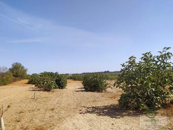 Finca rústica de 0,67 ha en venta en Villarrasa, Huelva