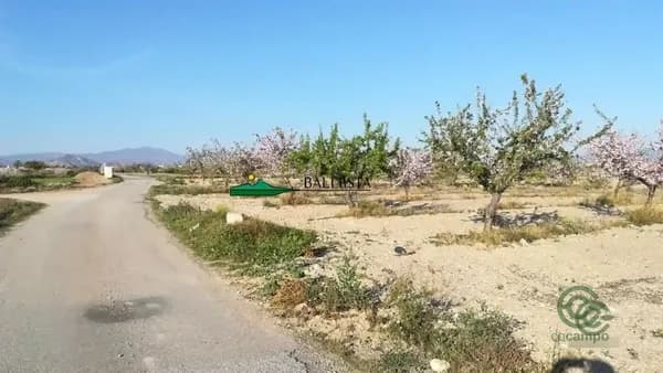 Finca agrícola de 1,5143 ha en venta en Huercal-overa, Almeria