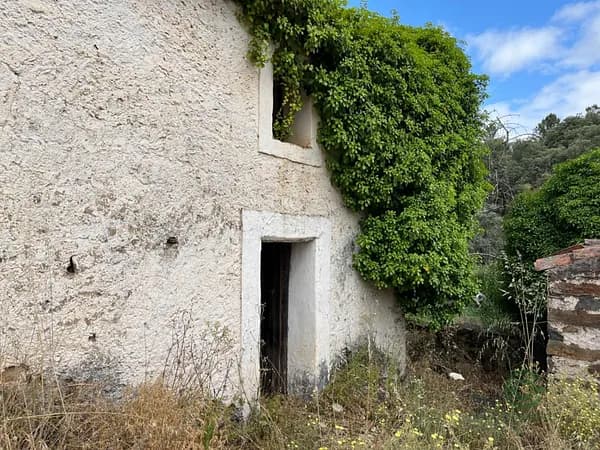Finca rústica de 3 ha en venta en Cáceres
