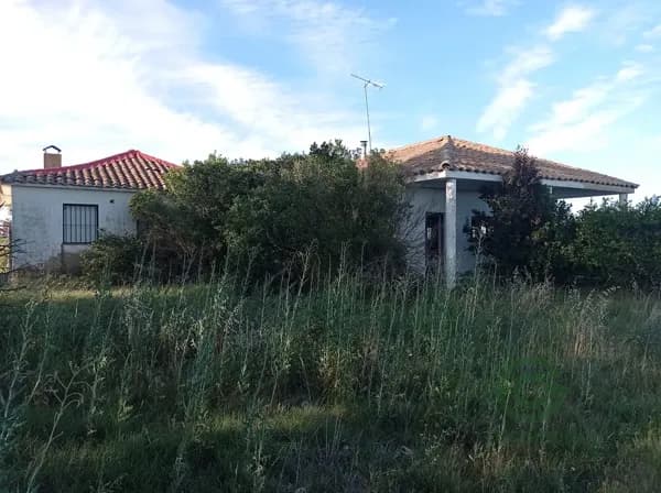 Finca rústica de 3 ha en venta en León