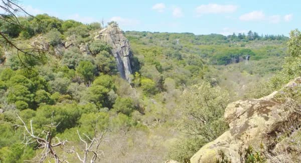 Finca rústica de 250 ha en venta en Madrid