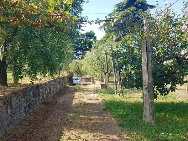 Finca agricola di 0,45 ha per vendita a Lazio