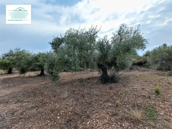 Finca agrícola de 1,01 ha en venta en Benicarlo, Castellon
