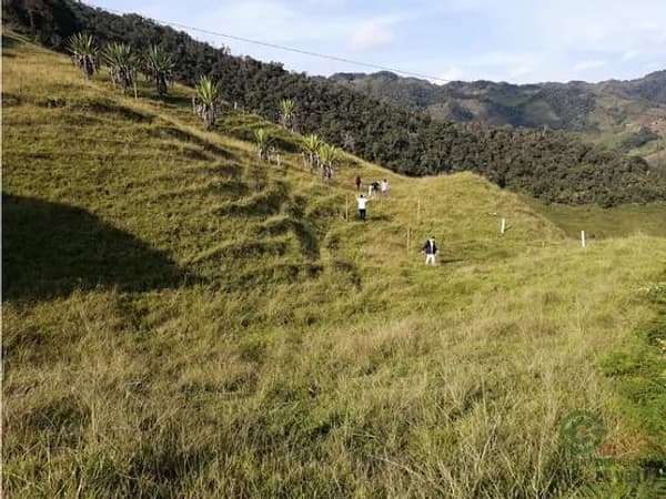 Finca rústica de 0,1386 ha en venta en Antioquia