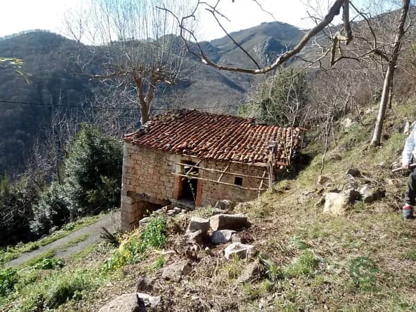 Finca ganadera de 0,032 ha en venta en Belmonte de miranda, Asturias