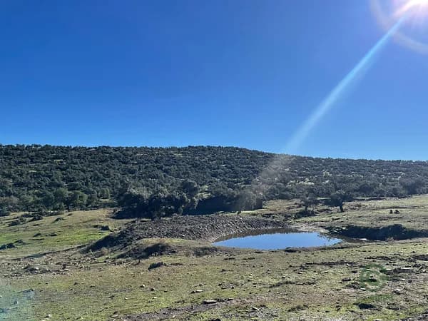 Finca rústica de 250 ha en venta en Cáceres