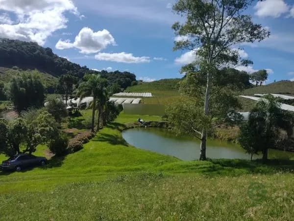 Fazenda rustica de 5 ha para venda em Rio grande do sul