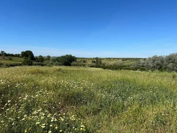Finca agrícola de 3,8 ha en venta en Bollullos par del condado, Huelva