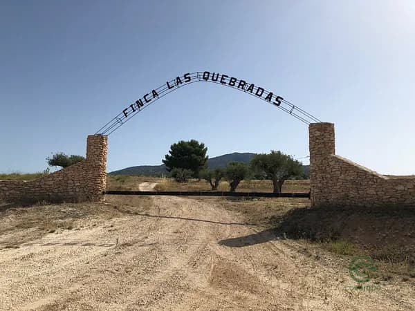 Finca agrícola de 40,758 ha en venta en Murcia