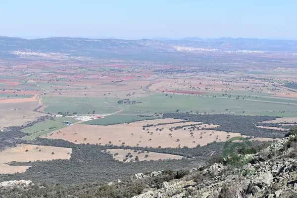 Finca rústica de 1467 ha en venta en Toledo