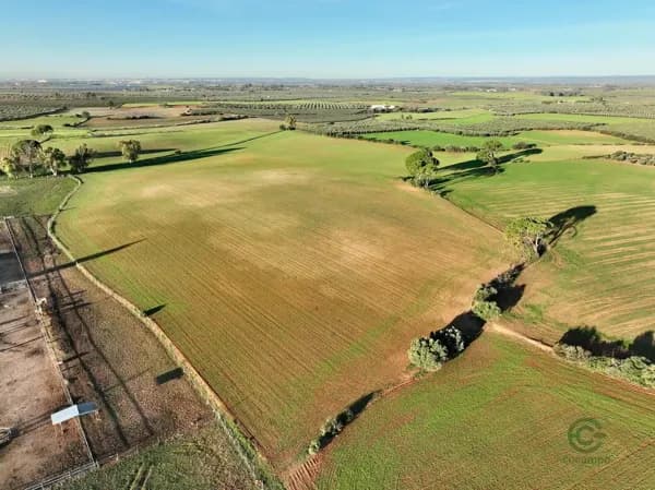 Finca rústica de 15,7 ha en venta en Sevilla
