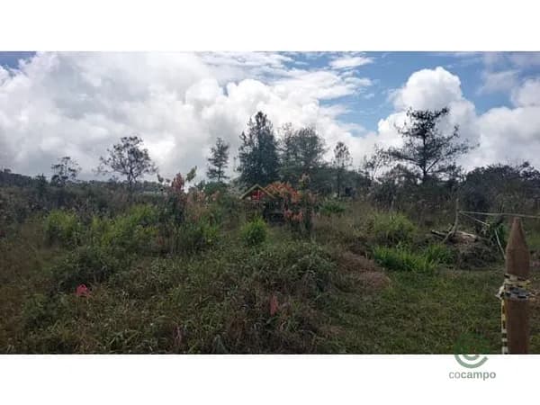 Finca rústica de 0,2931 ha en venta en Antioquia