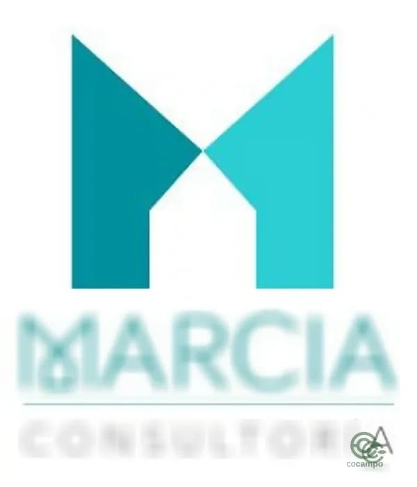 Terreno urbano de 0,4208 ha en venta en Pozuelo de alarcon, Madrid