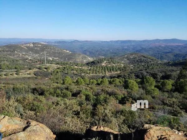 Finca rústica de 47 ha en venta en Zalamea la real, Huelva