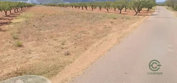 Finca rústica de 0,3393 ha en venta en Vilafames, Castellon