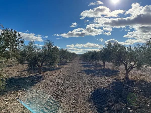 Finca agrícola de 0,2236 ha en venta en Totana, Murcia